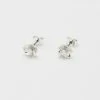 Estella Bartlett New In Petite Pearl Buttercup Studs