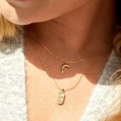 Estella Bartlett Dolphin Pendant New In