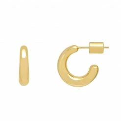 Estella Bartlett Mini Chunky Hoop Earrings