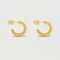 Estella Bartlett Chunky Twisted Rope Hoop Earrings Jewellery