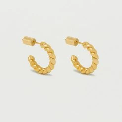 Estella Bartlett Chunky Twisted Rope Hoop Earrings Jewellery