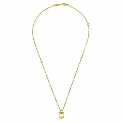 Estella Bartlett Horseshoe Hinge Necklace