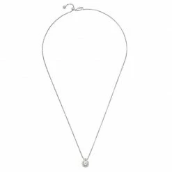 Estella Bartlett CZ Pendant Necklace
