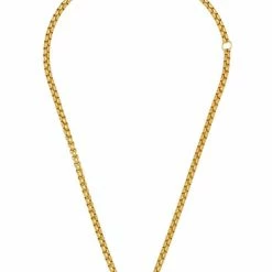 Estella Bartlett Best Sellers Chunky Rounded Box Chain Necklace