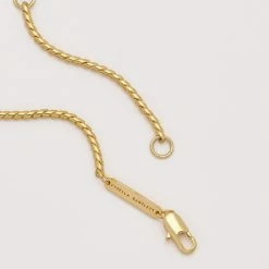 Estella Bartlett Snake Chain Necklace Jewellery
