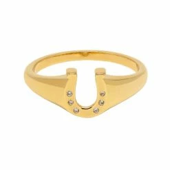 Estella Bartlett CZ Lucky Horseshoe Signet Ring Sale