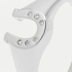Estella Bartlett CZ Lucky Horseshoe Signet Ring